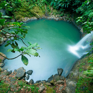 TARAPOTO COMBINADO 04 DÍAS | 03 NOCHES