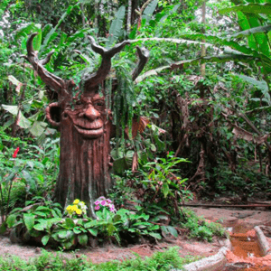 IQUITOS RESORT Y CIUDAD 04 DÍAS | 03 NOCHES