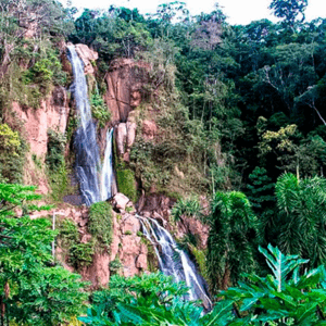 SELVA CENTRAL 08 DÍAS | 07 NOCHES