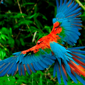 ECOLÓGICO 03 DÍAS | 02 NOCHES