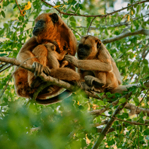 ECO-AVENTURA 04 DÍAS | 03 NOCHES